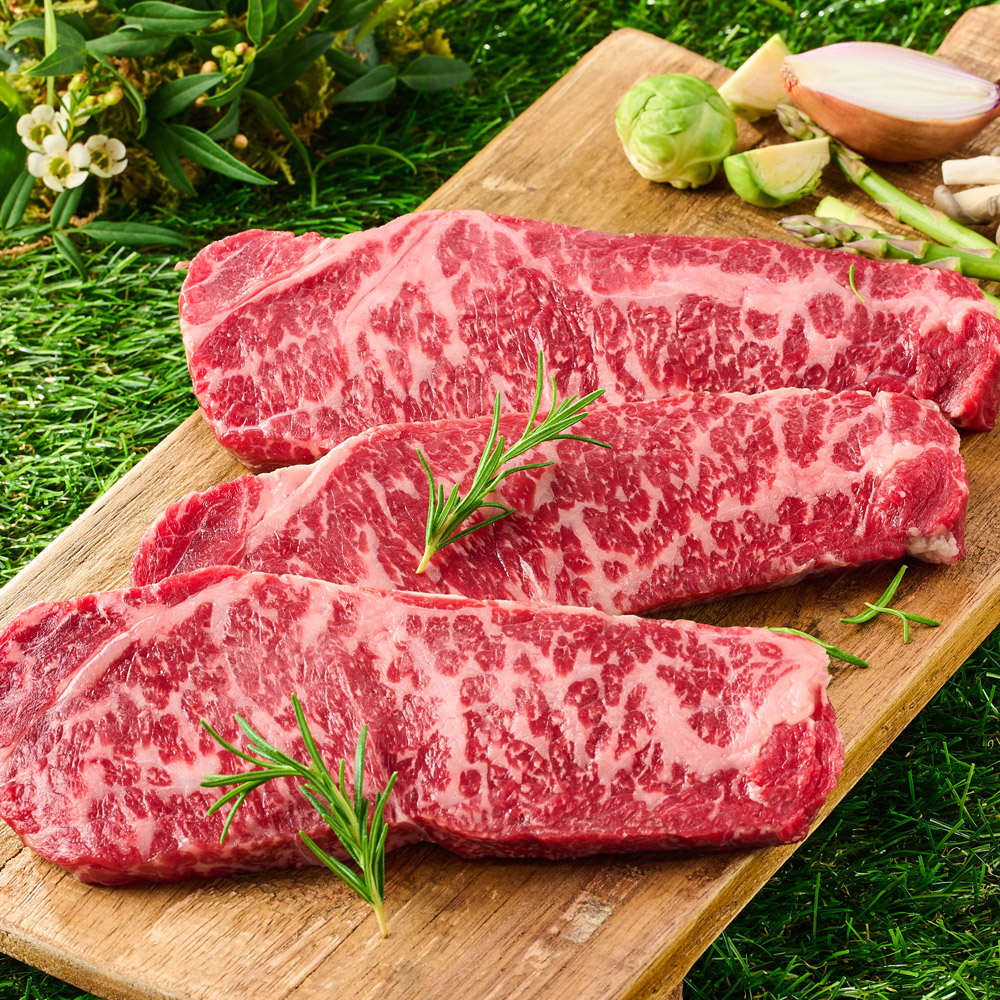 농협 안심 한우 선물 세트 1등급 소고기 등심 채끝 명절 설