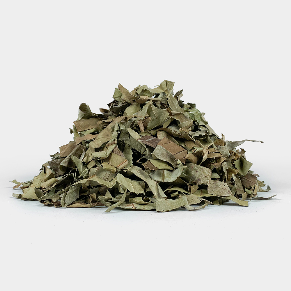 바나바잎 100g - 상세 이미지 2