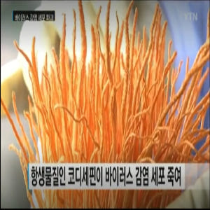 현미동충하초 국내산 동충하초 5팩 고급 생 버섯 선물 세트 노루궁뎅이버섯 맛있게 먹은 솔직 후기 - 상품 이미지 4