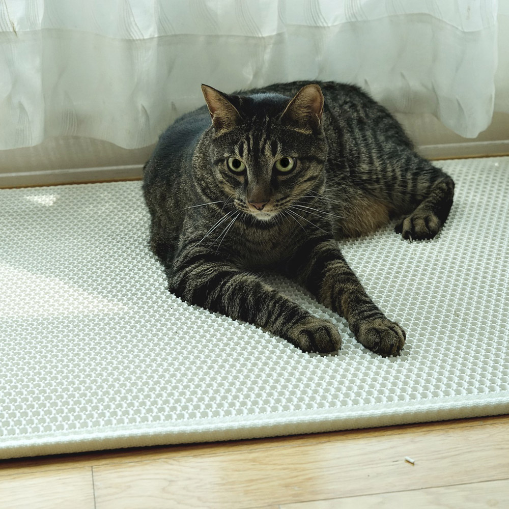 고양이 사막화방지 감자 모래매트