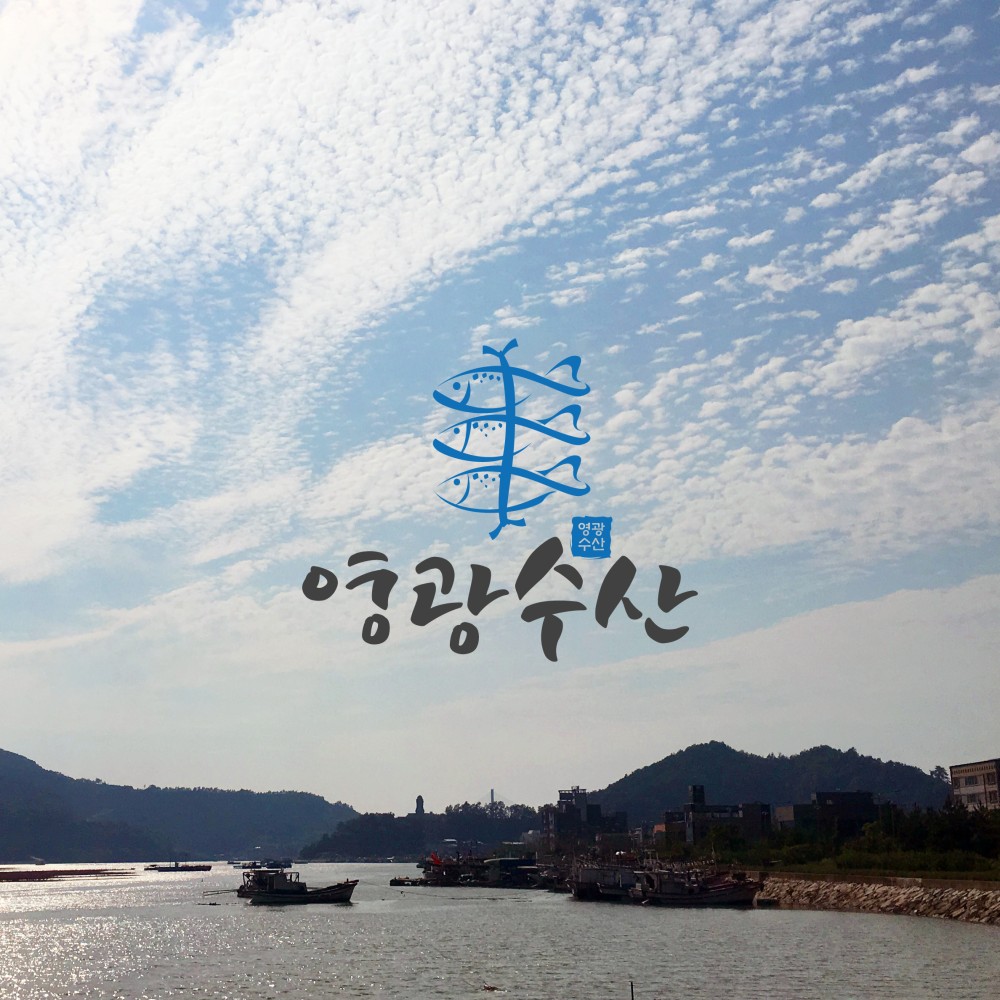조기 참조기 제사 제수용 제사용 선물세트 - 상세 이미지 3