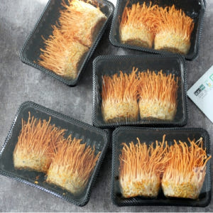 현미동충하초 국내산 동충하초 5팩 고급 생 버섯 선물 세트 노루궁뎅이버섯 맛있게 먹은 솔직 후기 - 상품 이미지 2