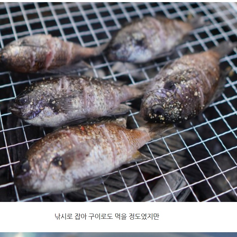 제주도 특산물 자리돔젓갈 자리젓 제주직송 200g - 상세 이미지 5