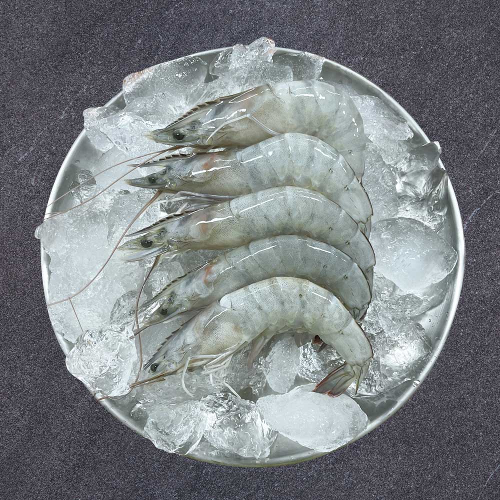 산지직송 국산 흰다리새우 생물 활새우 1kg - 상세 이미지 4