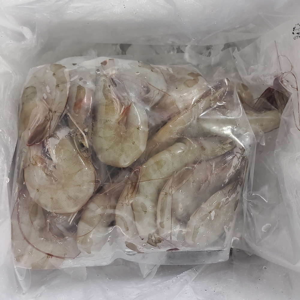국산 활새우 제철 신안 흰다리새우 새우철 생새우 왕새우 회 500g 1kg 상품 이미지