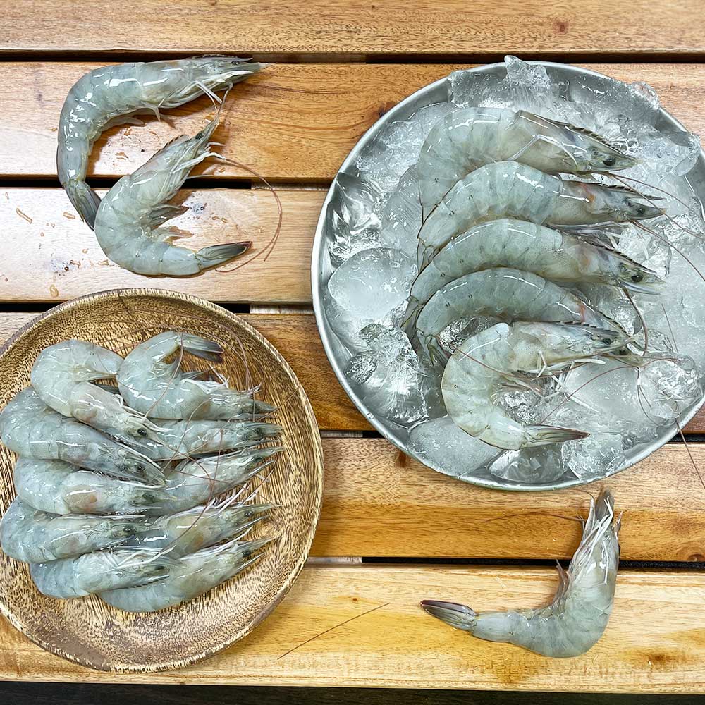 산지직송 국산 흰다리새우 생물 활새우 1kg - 상세 이미지 2
