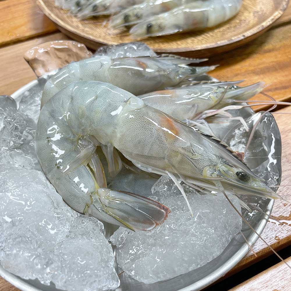 산지직송 국산 흰다리새우 생물 활새우 1kg - 상세 이미지 5