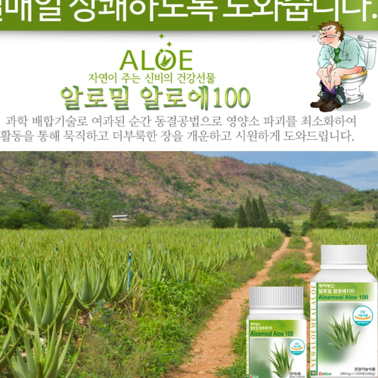 먹는 알로에 정 면역력 알로에 영양제 효능 효과 면역부스터 - 상세 이미지 5
