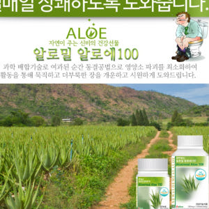 먹는 알로에 정 면역력 알로에 영양제 효능 효과 면역부스터 맛있게 먹은 솔직 후기 - 상품 이미지 2