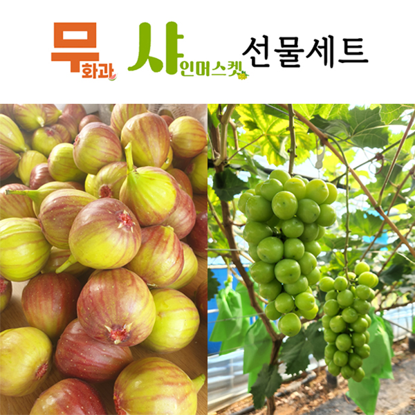 무샤 선물세트 (무화과 1kg+샤인 1송이)