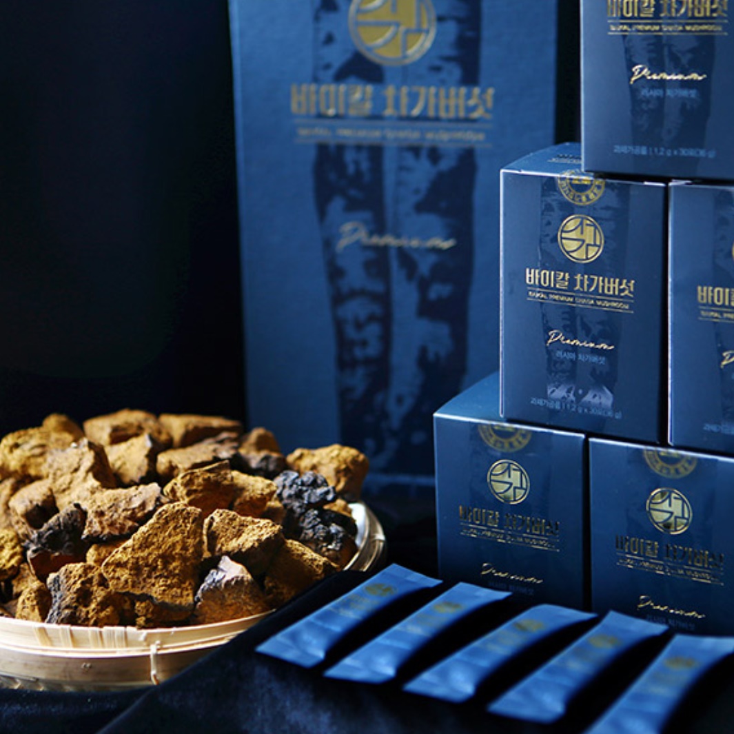 러시아 차가버섯가루 선물세트 차가버섯추출분말