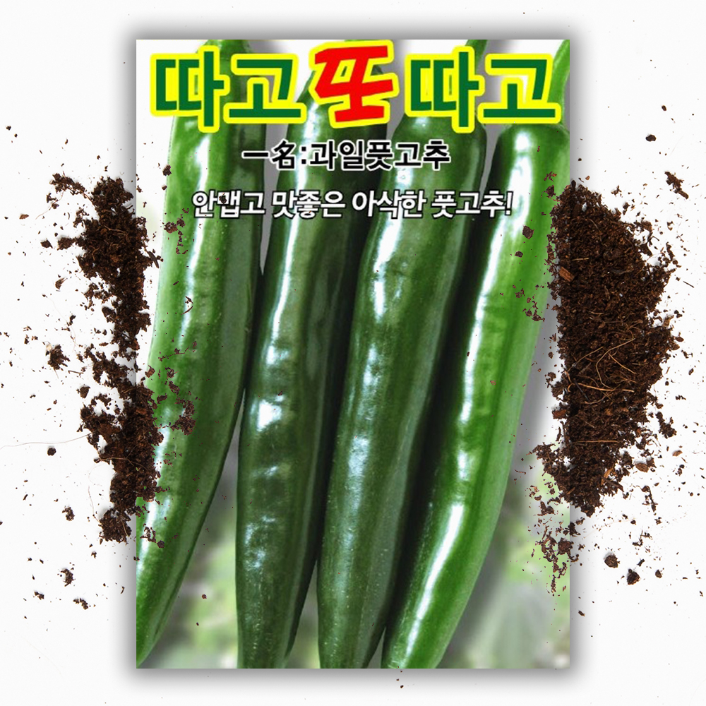 안매운 고추씨앗 30립 고추씨 종자 - 상품 이미지