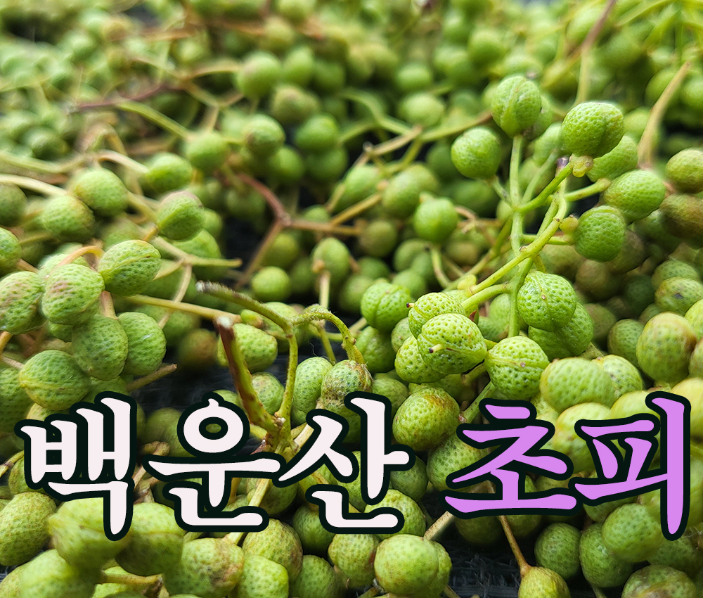 광양 백운산 초피 제피 젠피 천초 100g - 상세 이미지 3