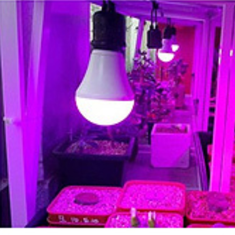 식물전구 식물성장등 식물재배등 식물용 led - 상품 이미지