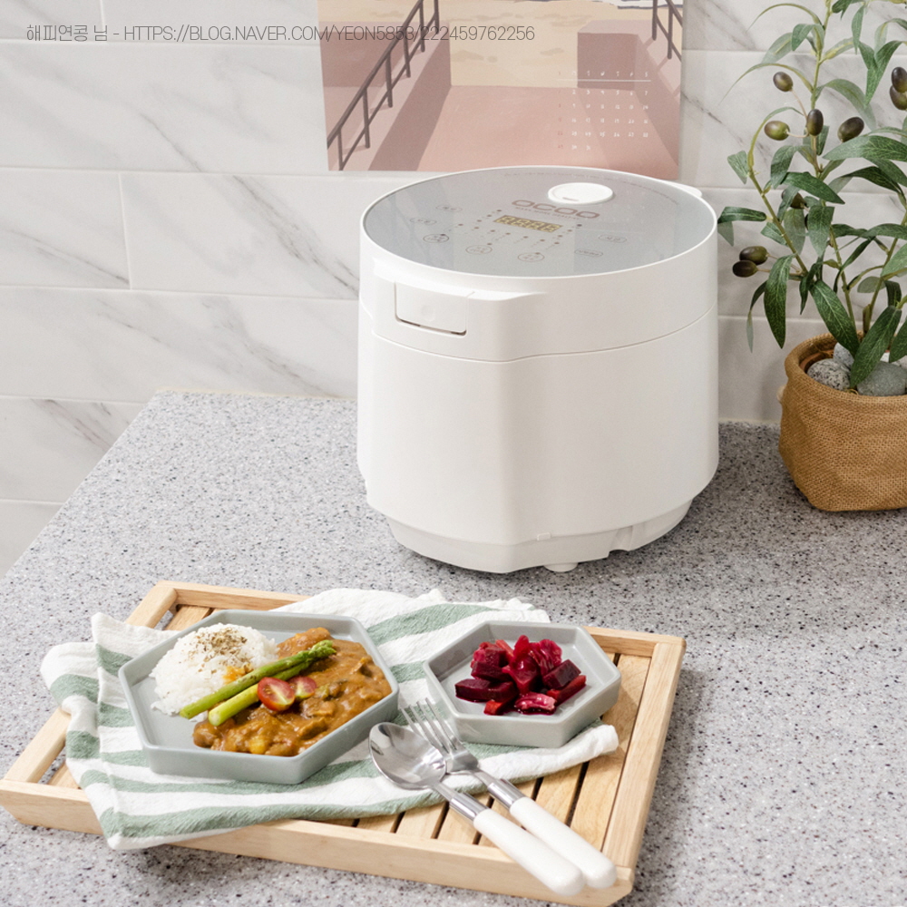 [성인병 식단관리] 오쿠 당뚝 저당밥솥 대용량 6인용 OCR-LS800W 당뇨 혈당 비만