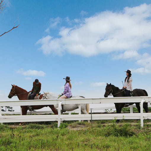 제주 중문승마공원