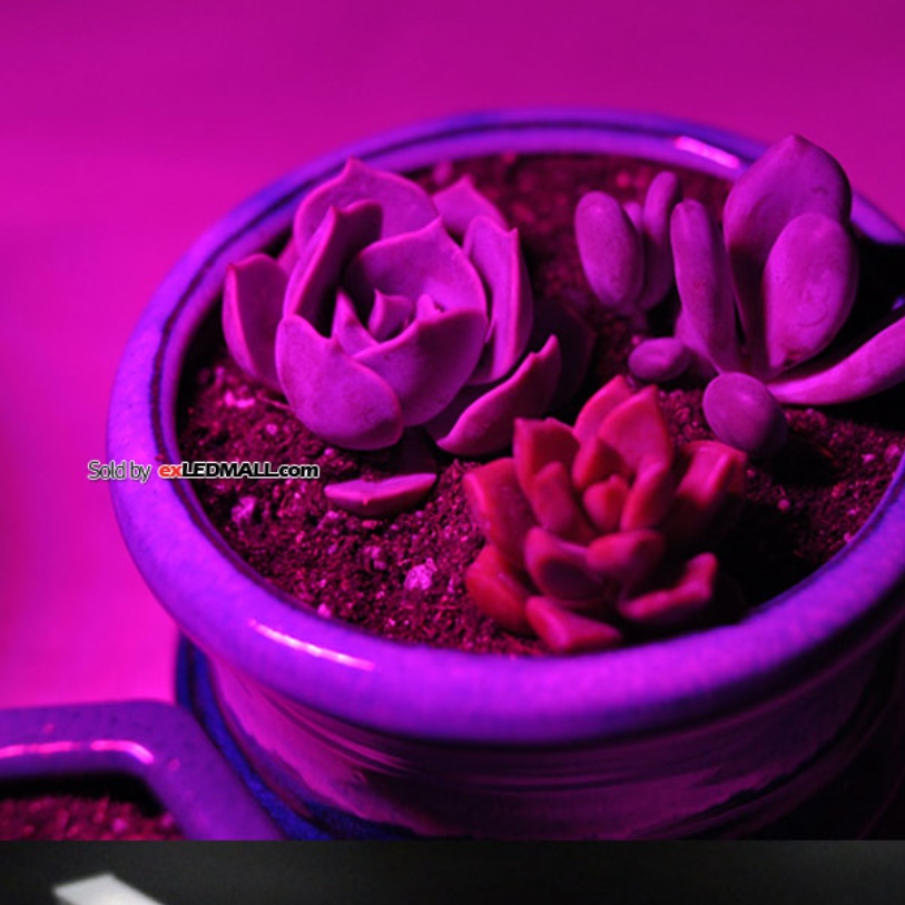 USB 21cm 4.8W 식물 생장 등 식물 재배 등 식물용 LED 바 성장 조명 전구 - 상세 이미지 5