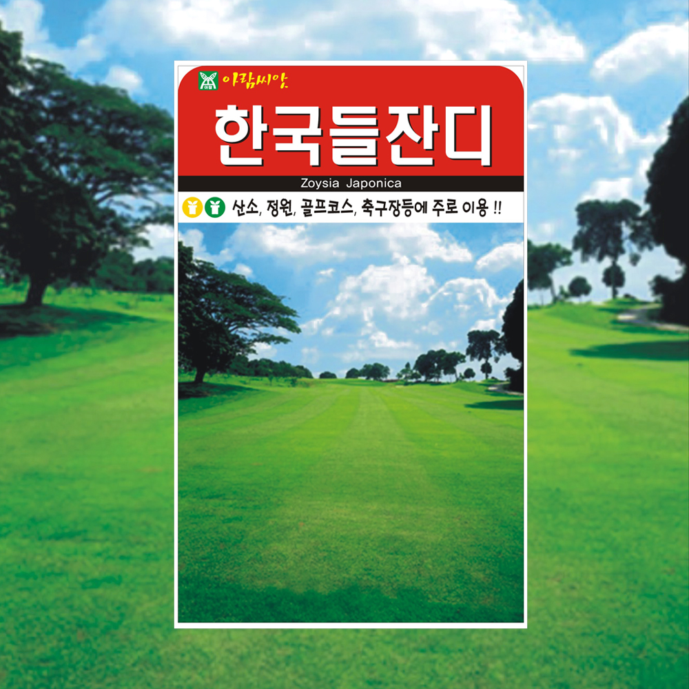한국들잔디 잔디 씨앗 4만립 산소 묘지 잔디씨 제품 이미지