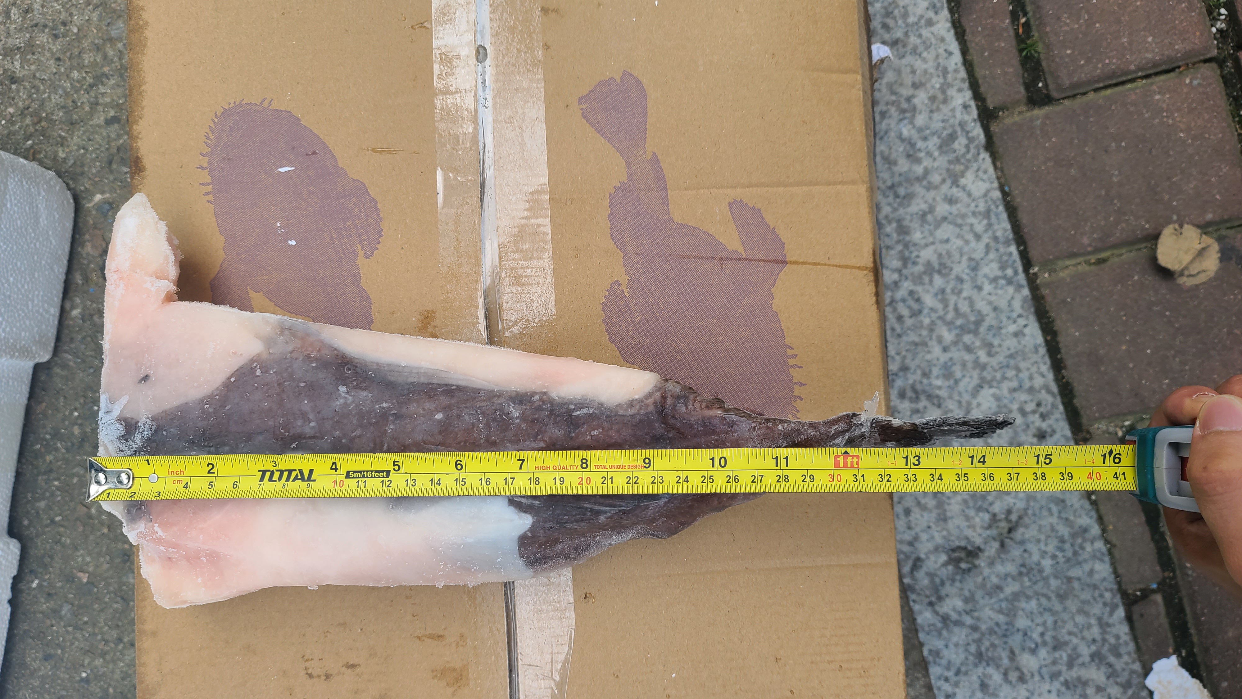 대용량 순살 아귀꼬리 10kg (700/1000) 1Box - 상세 이미지 3