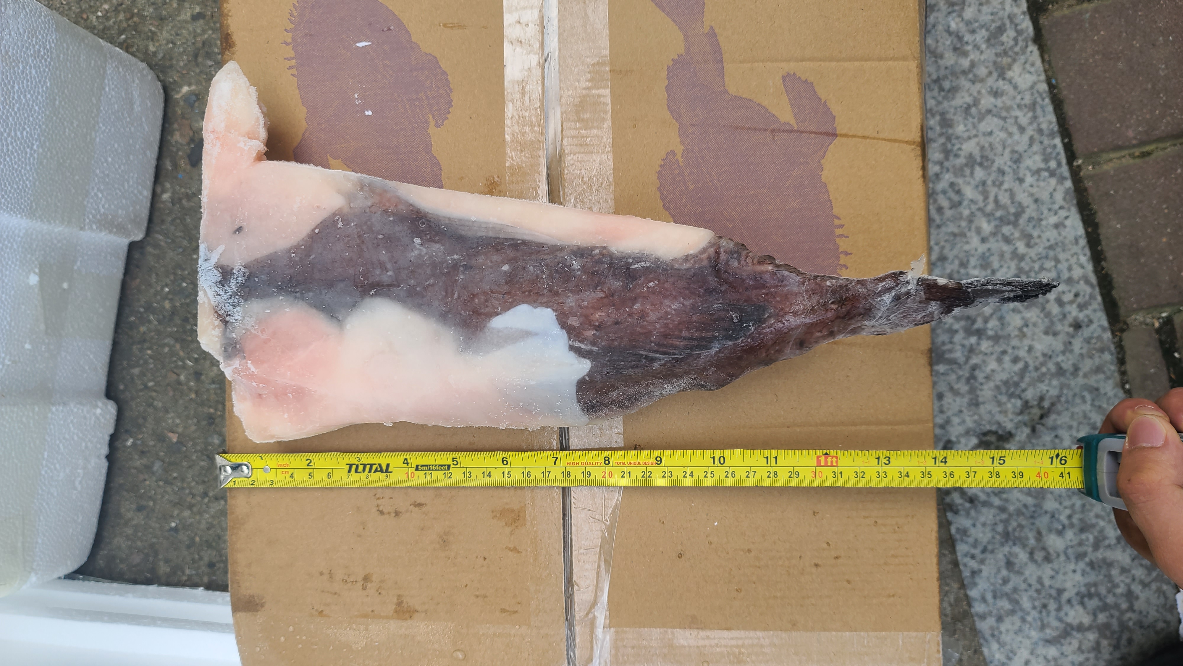 대용량 순살 아귀꼬리 10kg (700/1000) 1Box - 상세 이미지 4