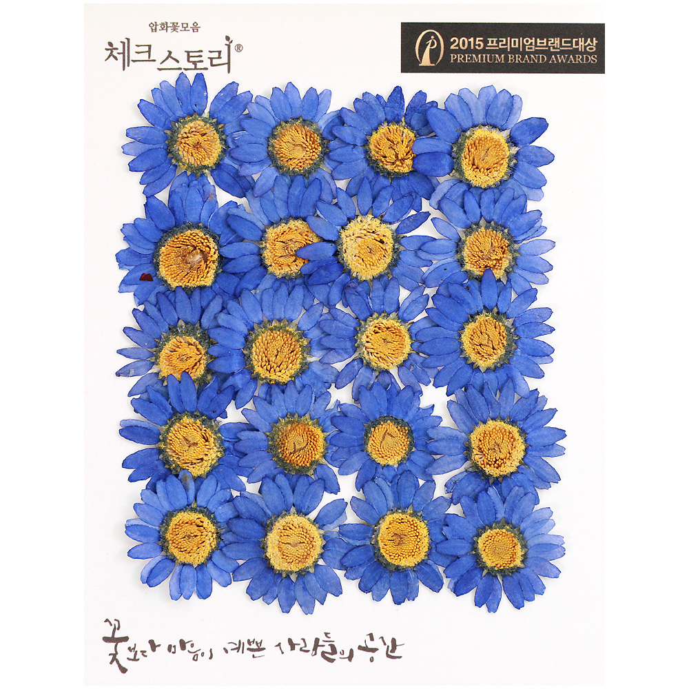 압화 꽃송이 압화꽃 조화 누름꽃 마가렛혼합 6종 - 상세 이미지 3