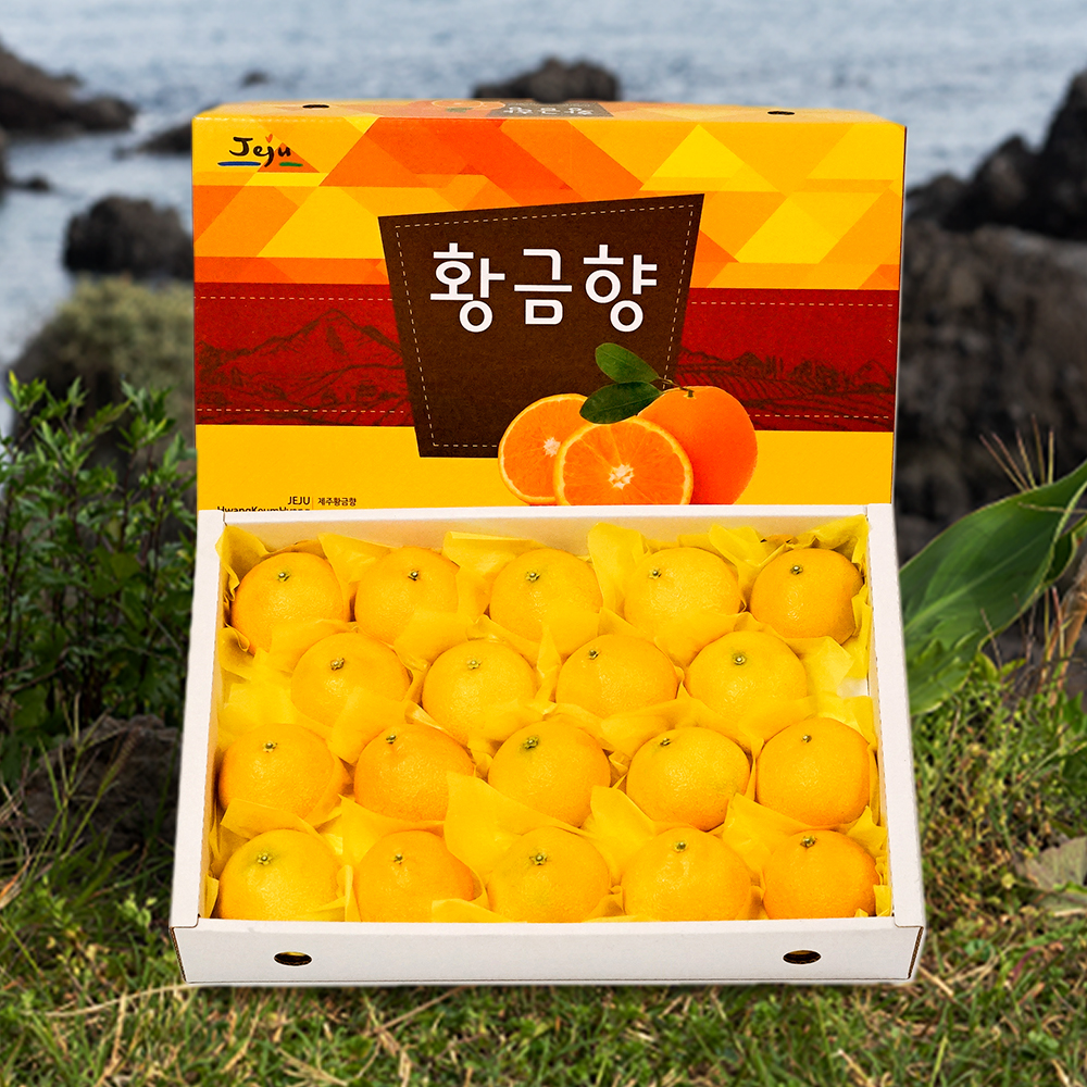 [농할20%] 국내산 제주 황금향 3kg 5kg - 상세 이미지 4