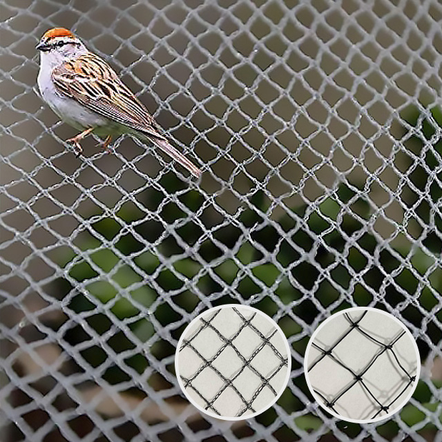 강력 방조망 10년 1.5cm 2.37m x 5m 새그물 새망 블루베리 조류방지 작물보호 - 상세 이미지 2