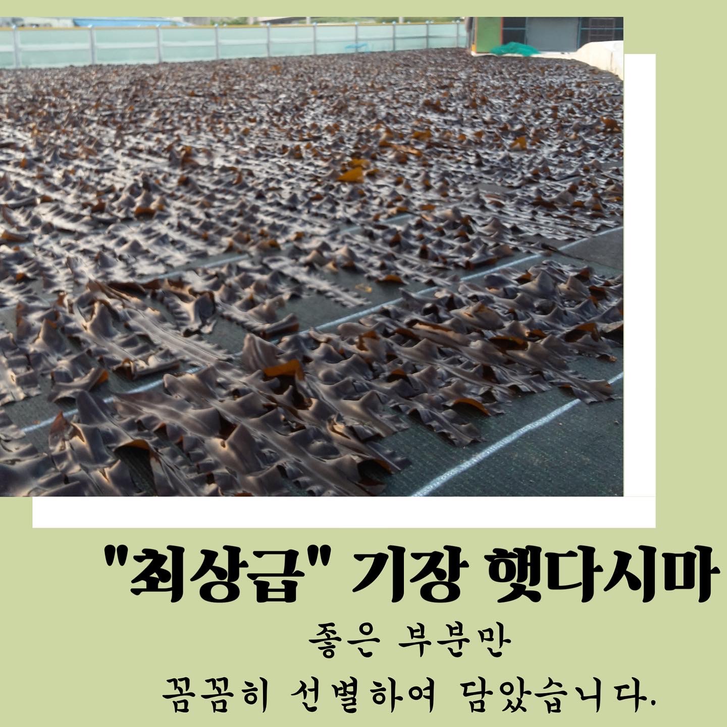 자른 다시마 육수용 100g 기장 건다시마 - 상세 이미지 4