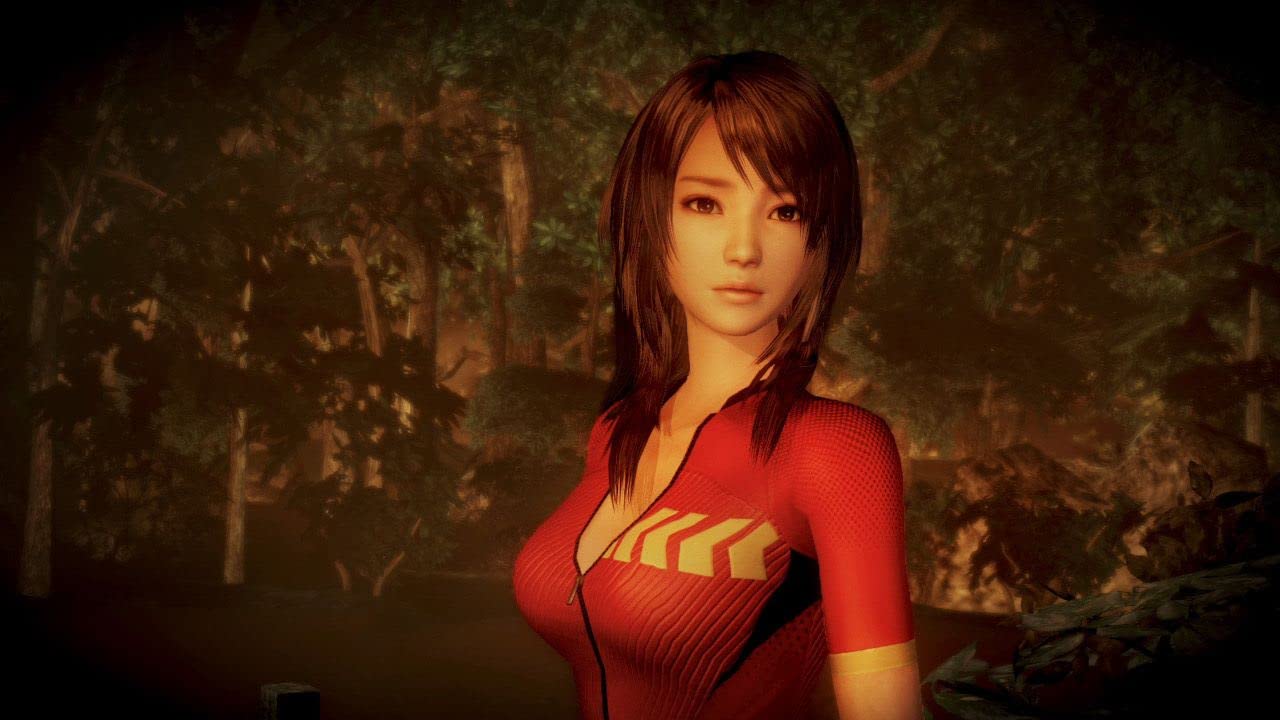 닌텐도 스위치 령 제로 누레가라스의 무녀 FATAL FRAME 해외판 영어 새제품 칩 팩 이미지 7