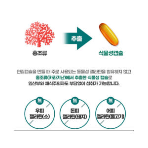 종근당 식물성캡슐 초임계 알티지 rtg 미세조류 임산부 오메가3 맛있게 먹은 솔직 후기 - 상품 이미지 4