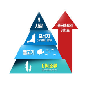 종근당 식물성캡슐 초임계 알티지 rtg 미세조류 임산부 오메가3 맛있게 먹은 솔직 후기 - 상품 이미지 3