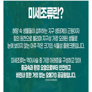 종근당 식물성캡슐 초임계 알티지 rtg 미세조류 임산부 오메가3 맛있게 먹은 솔직 후기 - 상품 이미지 2
