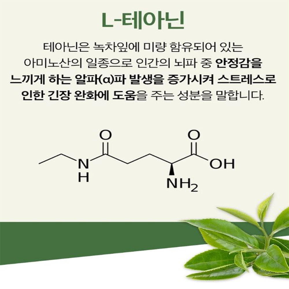 스트레스 엔 테아닌 60정 과도업무 1개월분 이미지 3