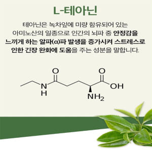 스트레스 엔 테아닌 60정 과도업무 1개월분 맛있게 먹은 솔직 후기 - 상품 이미지 3