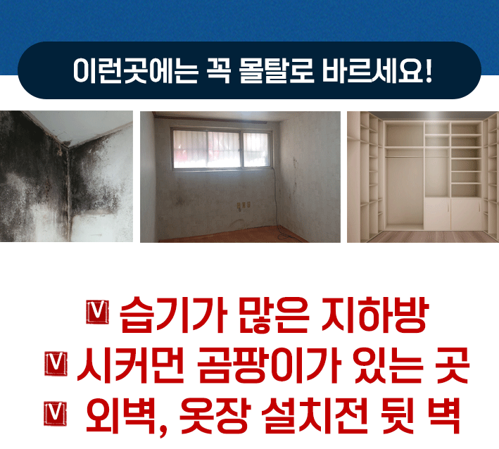 곰팡이 심한곳 이 조합으로 시공 젯소 세트 규조토하임 페인트10kg 몰탈 결로방지 베란다 이미지 6