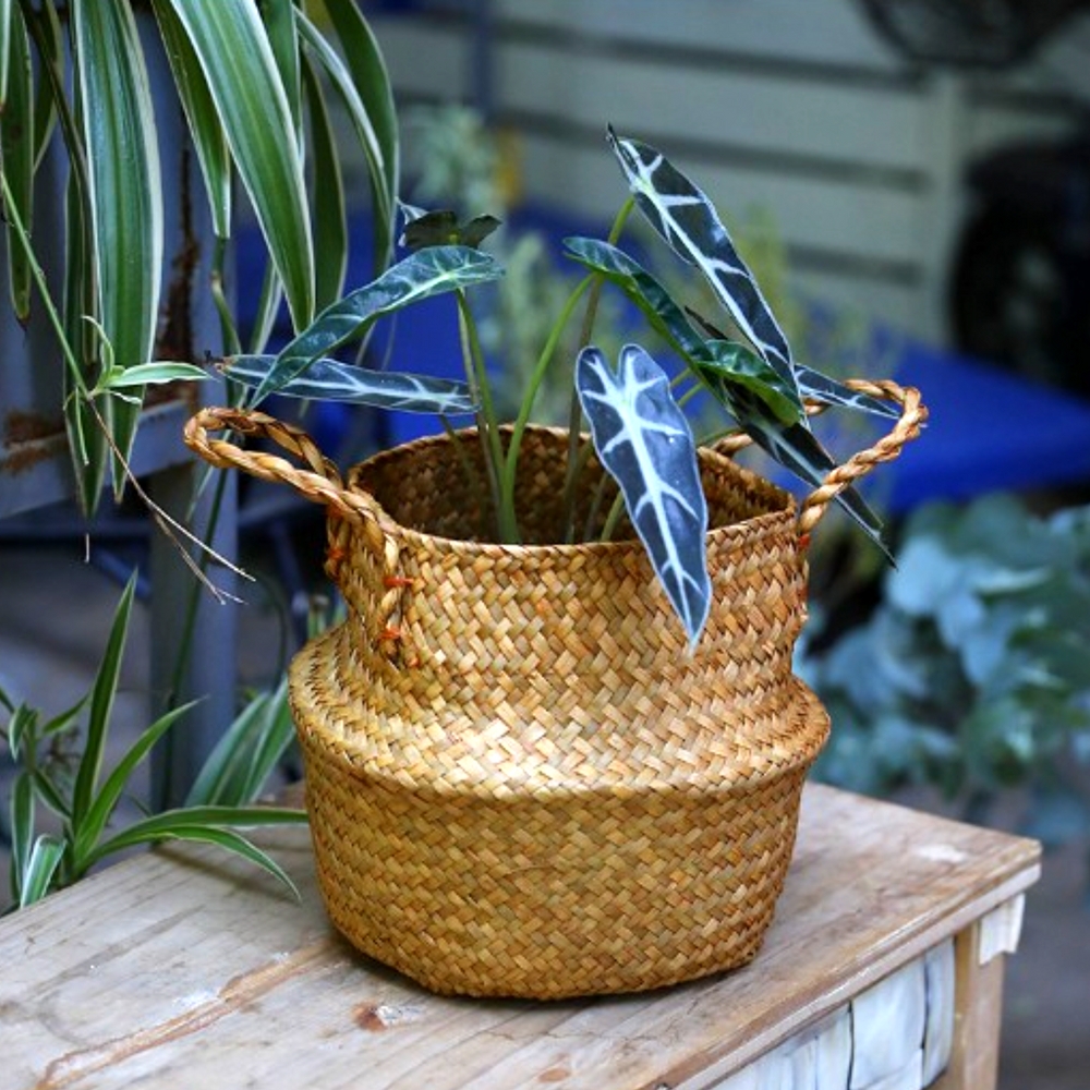 DDUNGK 왕골 라탄 해초 바구니 인테리어 화분커버 홈가드닝 대형 식물 토분가리개 1호
