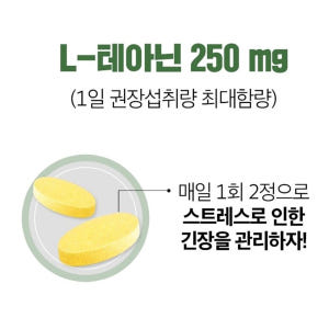 스트레스 엔 테아닌 60정 과도업무 1개월분 맛있게 먹은 솔직 후기 - 상품 이미지 4