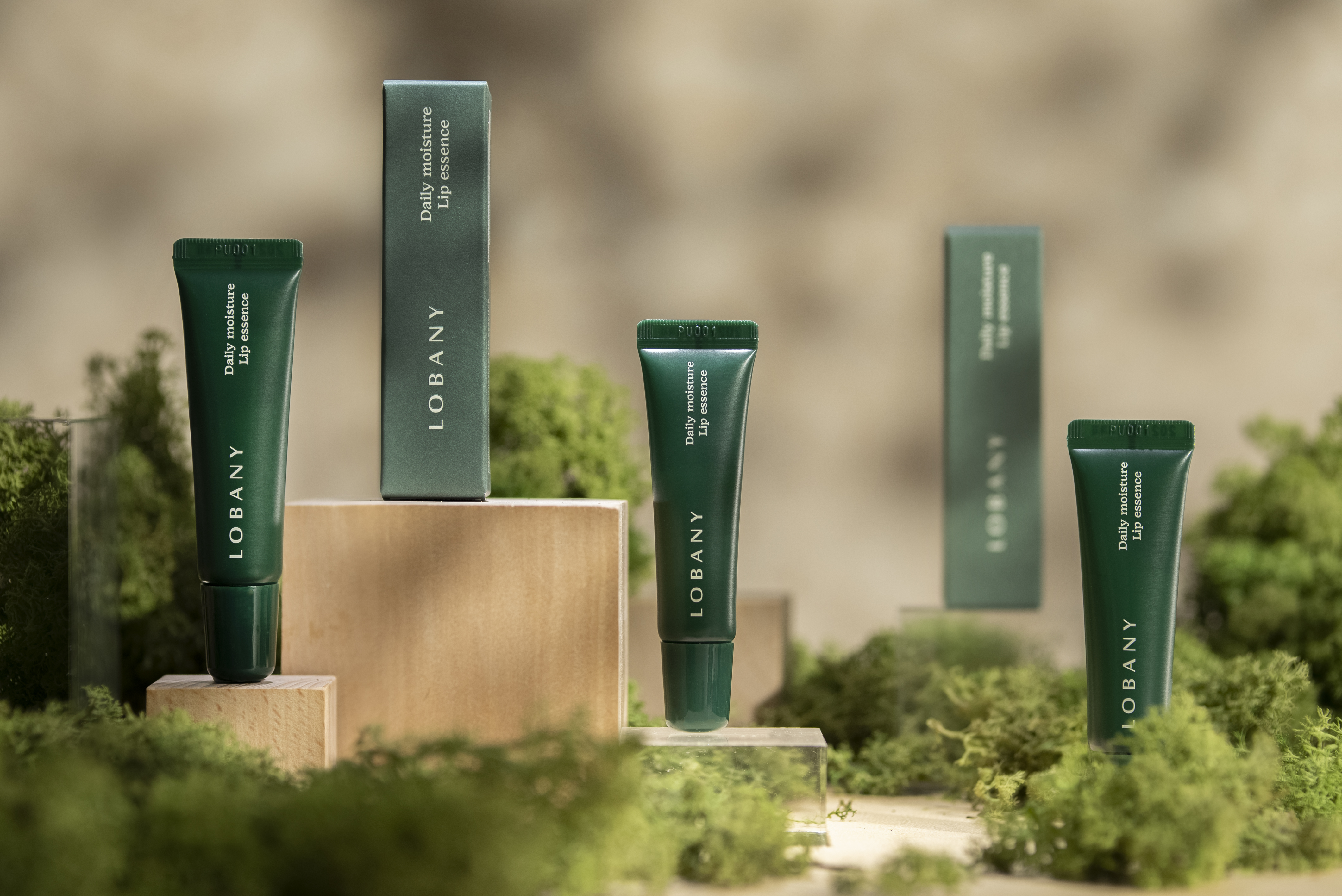 로벤니 데일리 모이스처 립에센스 입술정돈 입술보호 입술보습 지속력 고보습 / lobany daily moisture lip essence 10ml - 상세 이미지 2