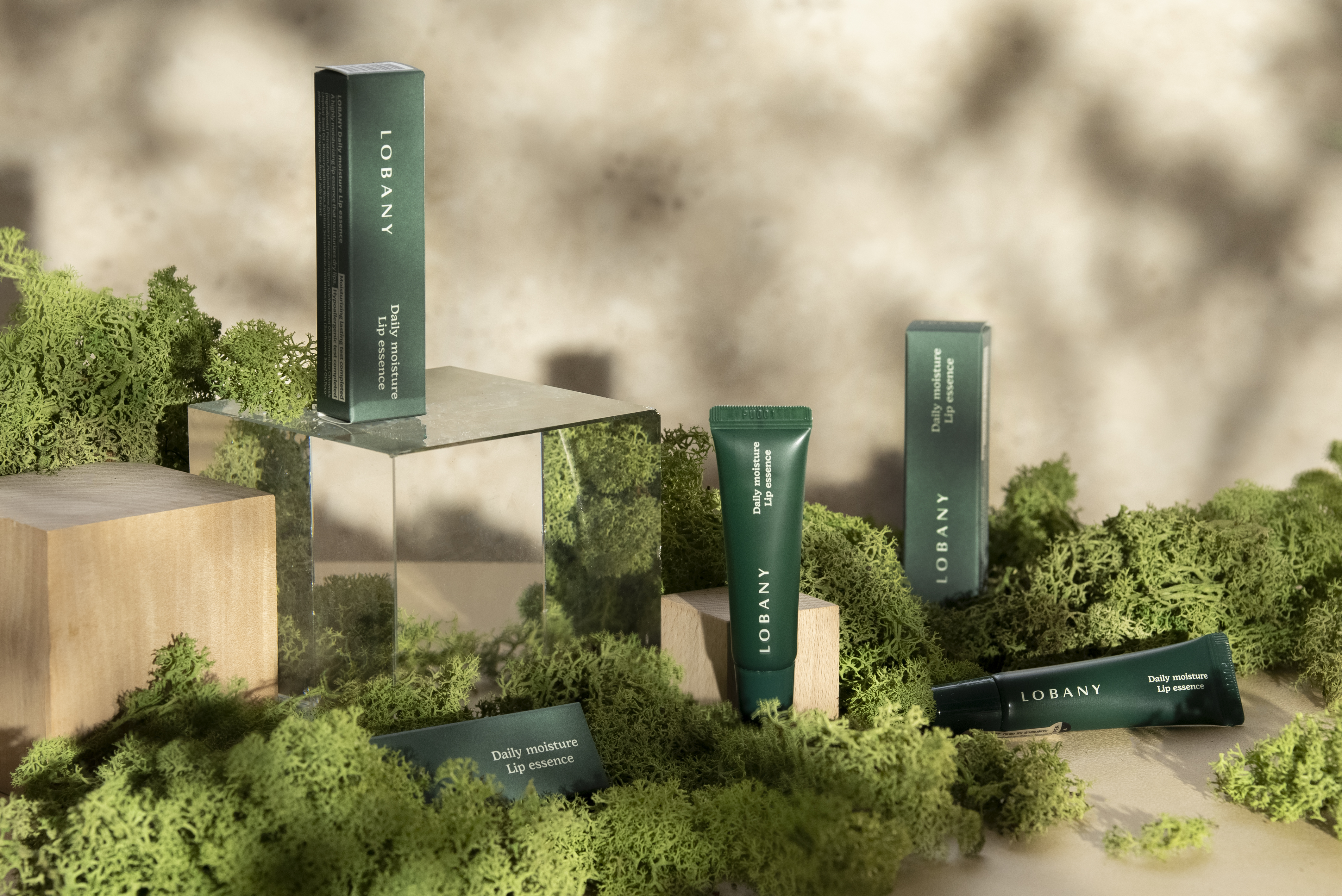 로벤니 데일리 모이스처 립에센스 입술정돈 입술보호 입술보습 지속력 고보습 / lobany daily moisture lip essence 10ml - 상세 이미지 3
