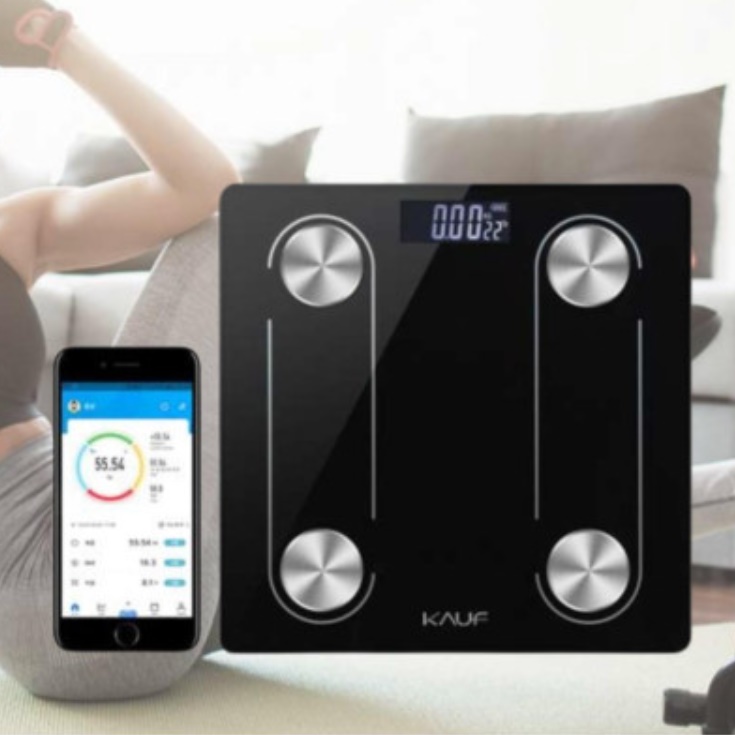 정확한 인바디 측정기 가정용 인바디 기계 체성분 체중계 체지방계