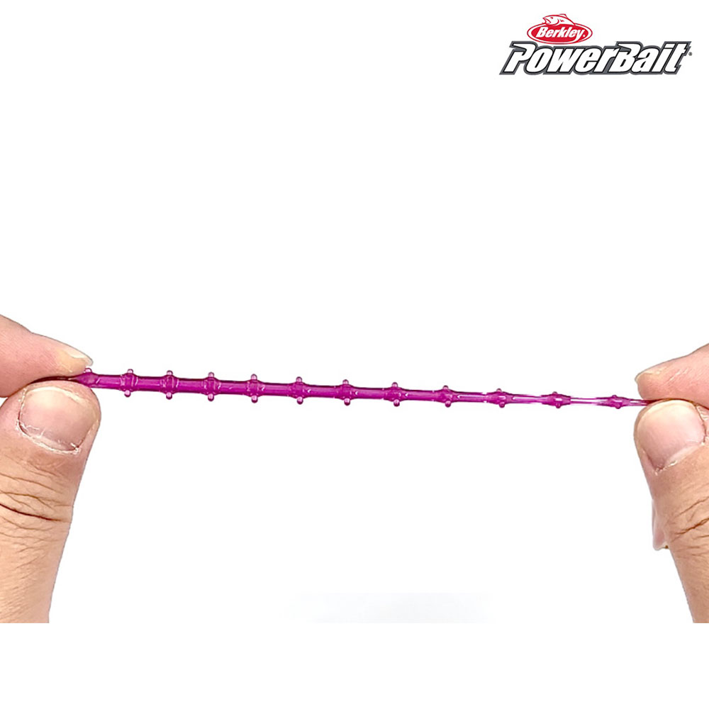 버클리 타치 샌드사딘 웜 낚시용품 리뷰