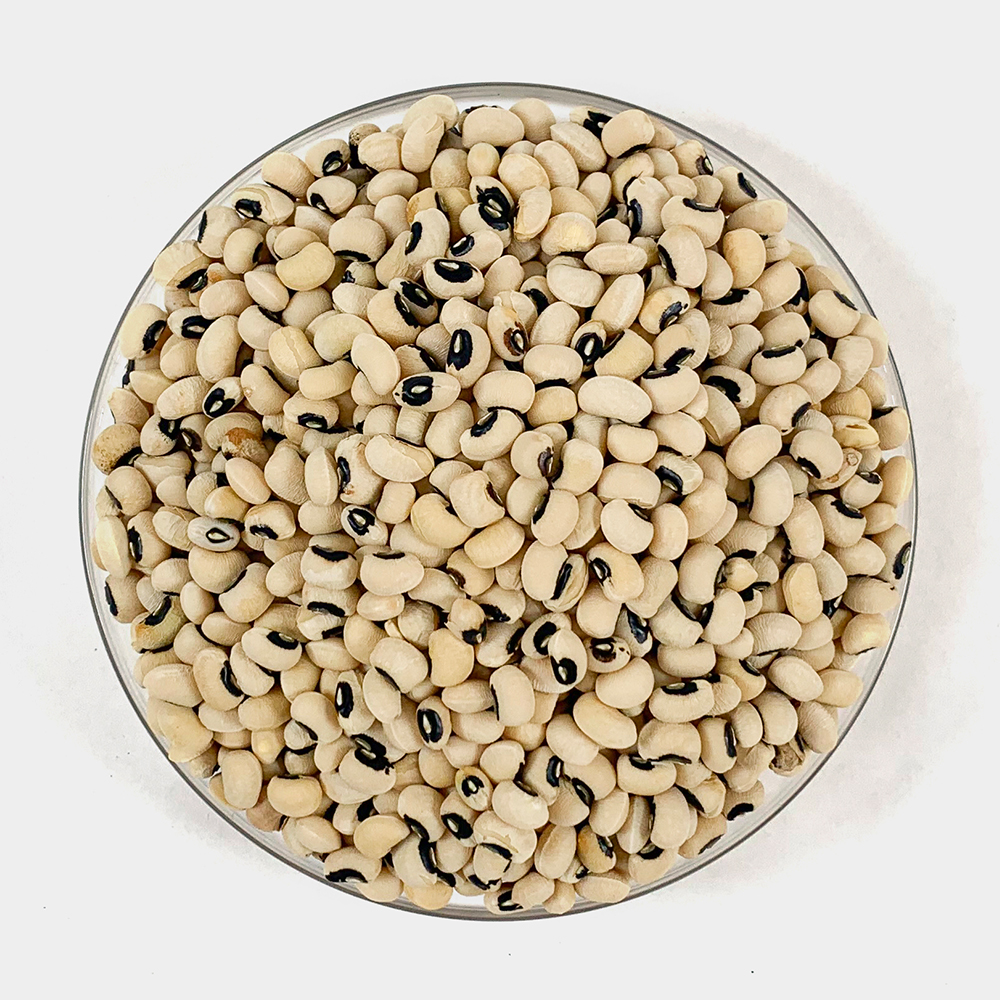 동부콩 10kg(1kgx10팩) 흰콩 흰강낭콩 하얀콩 - 상세 이미지 3