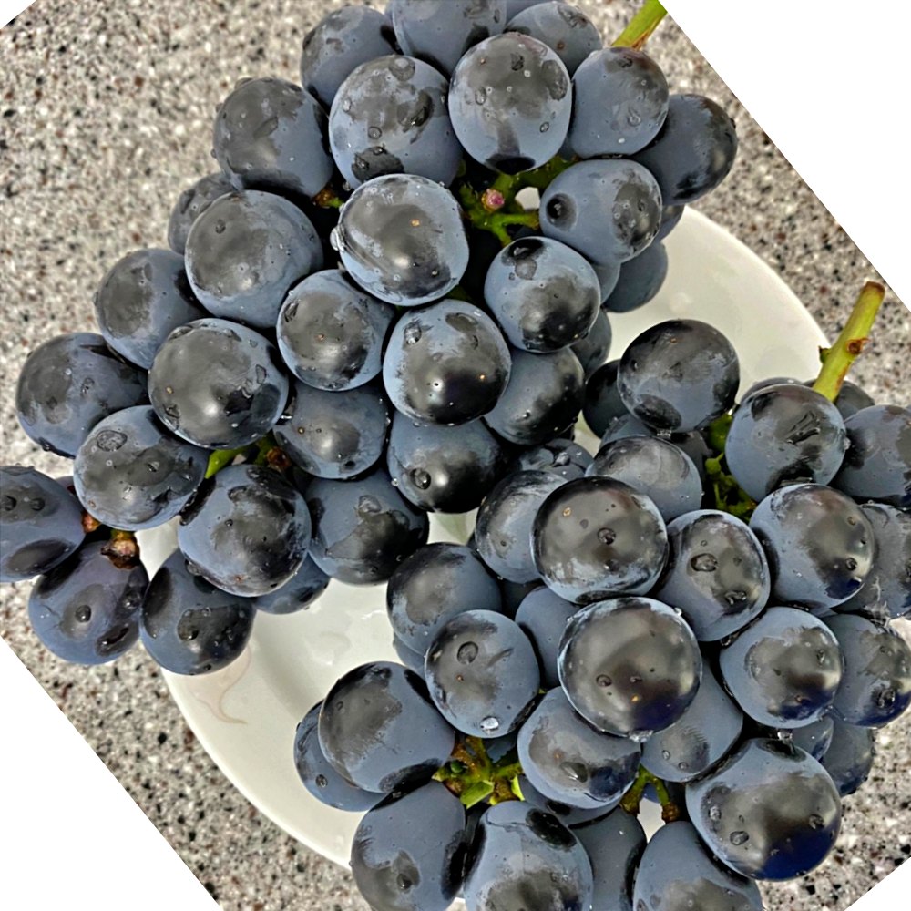 거봉 포도 씨없는 포도 1송이 2송이 프리미엄 특대