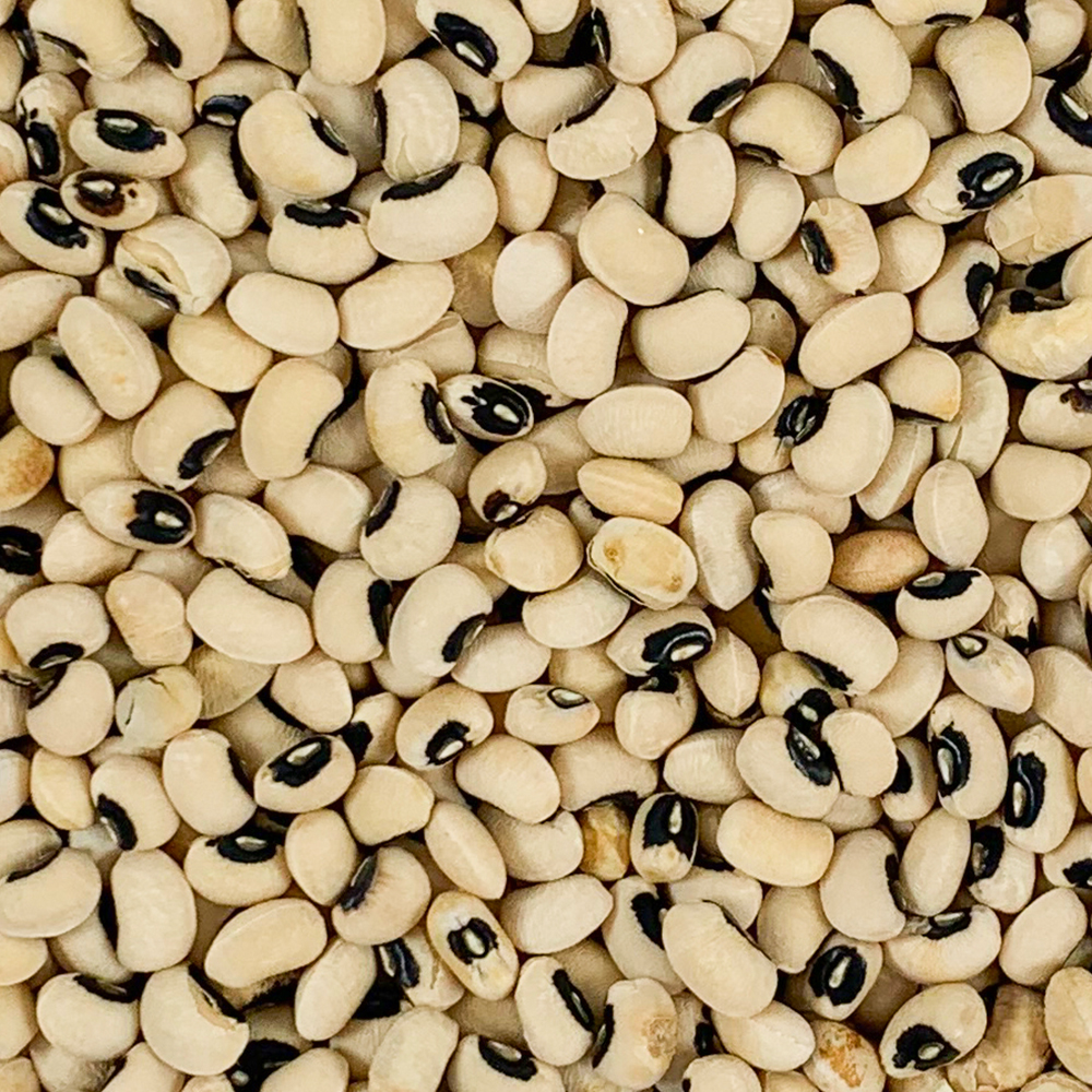 동부콩 10kg(1kgx10팩) 흰콩 흰강낭콩 하얀콩 - 상세 이미지 4