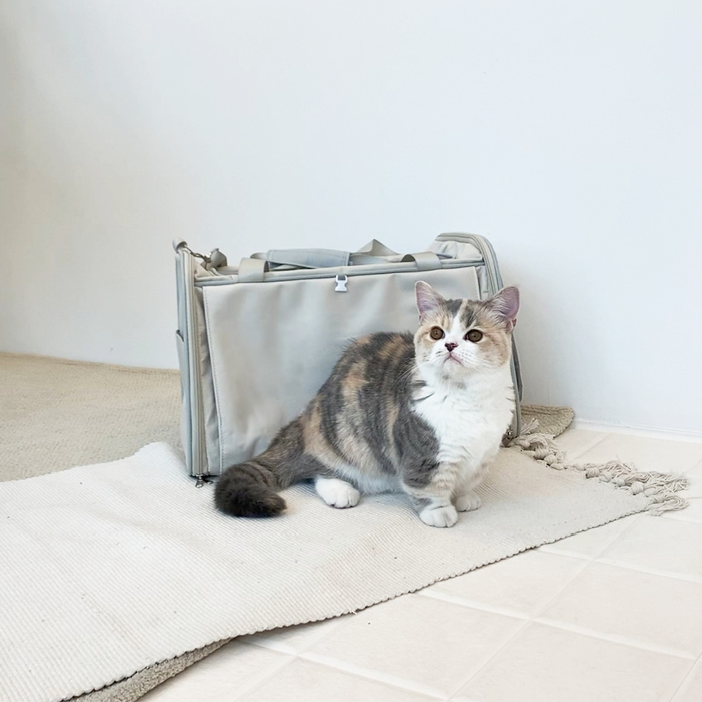 펫케어 스위트백 폴딩 위로열림 이동장 고양이 강아지 이동가방 - 상세 이미지 5