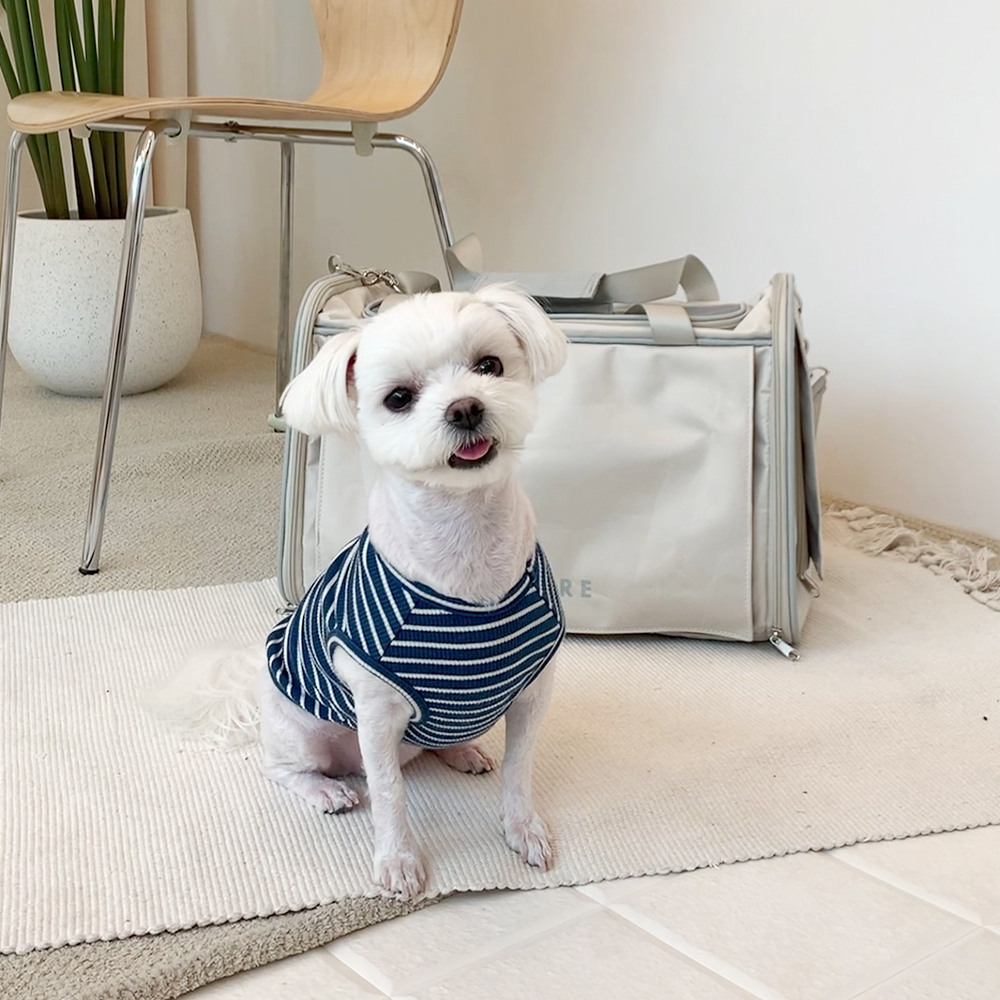 펫케어 스위트백 폴딩 위로열림 이동장 고양이 강아지 이동가방 이미지 6