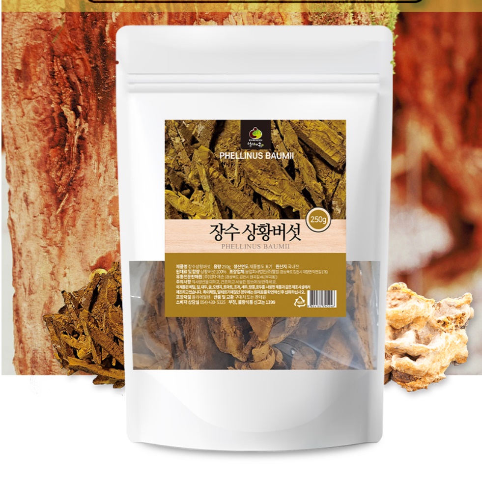 장수 상황버섯 건재 건물 말린 상황버섯 먹는 방법 이미지 8