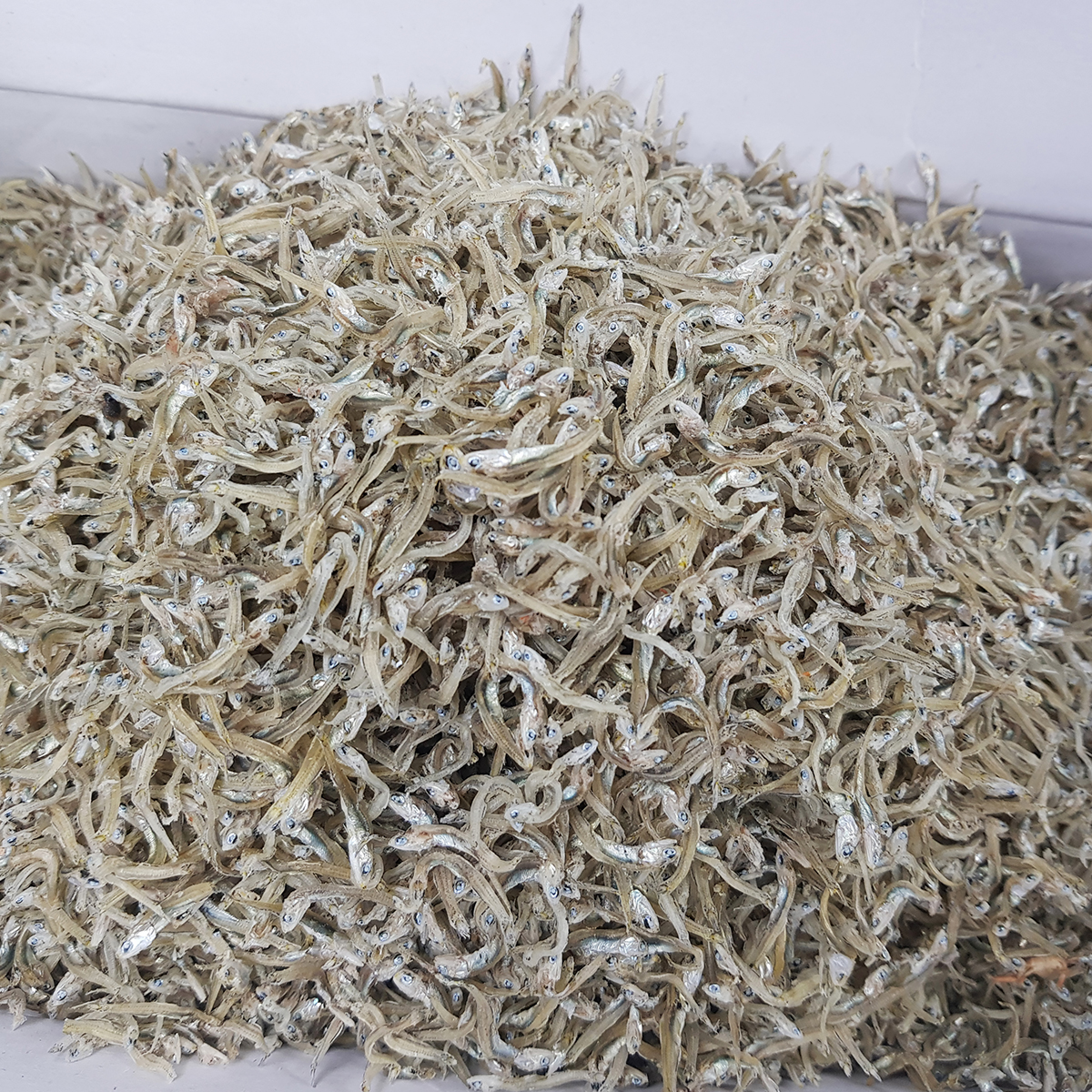 국내산 상급 가이리멸치 잔멸치 볶음멸치 자멸 볶음용 멸치 500g, 1개 - 상세 이미지 2