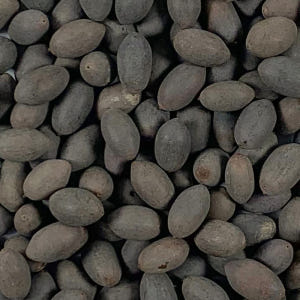 국내산 연자육 연꽃씨 연씨 250g 맛있게 먹은 솔직 후기 - 상품 이미지 4