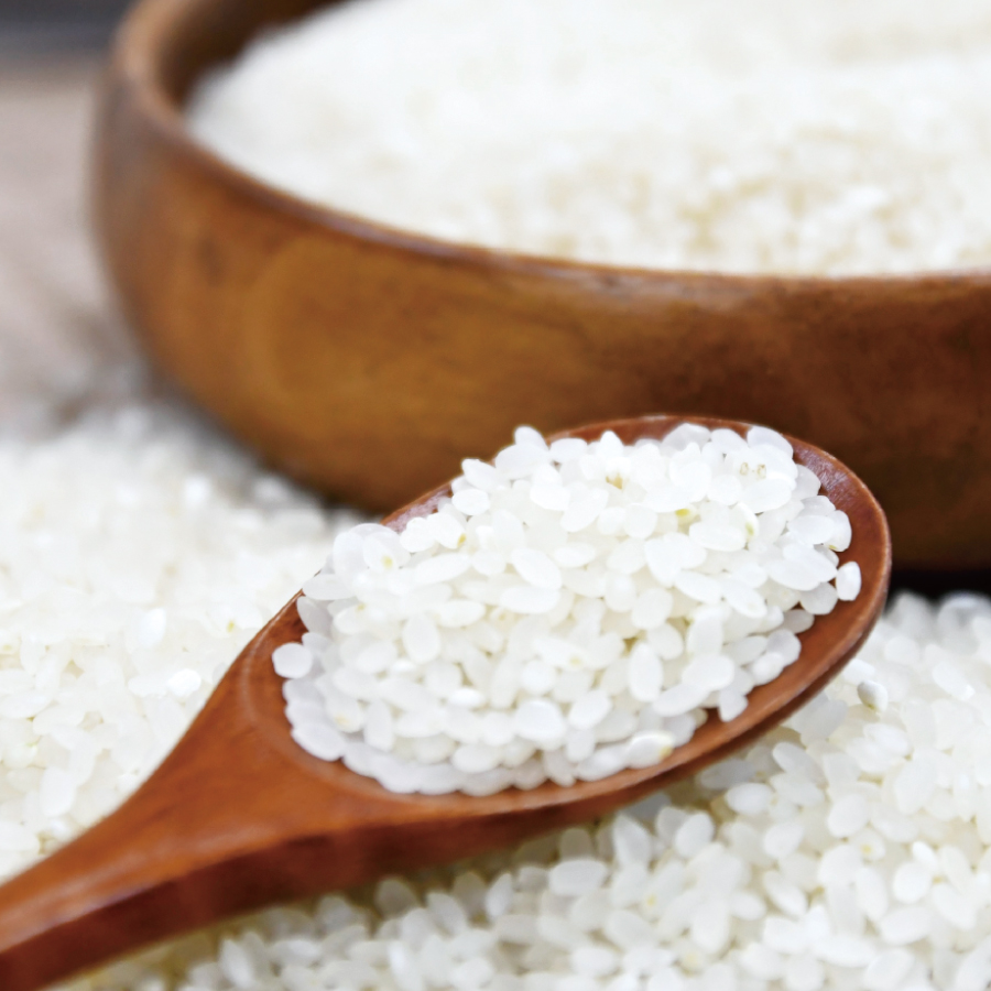 2025년 햅쌀 맛있는쌀 첫수확 쌀 백미 5kg 10kg